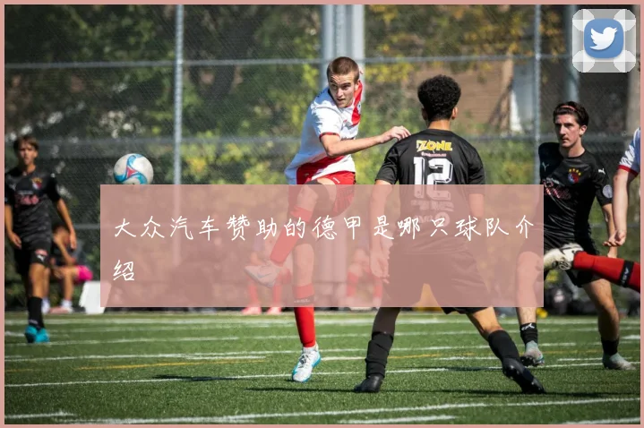 大众汽车赞助的德甲是哪只球队介绍