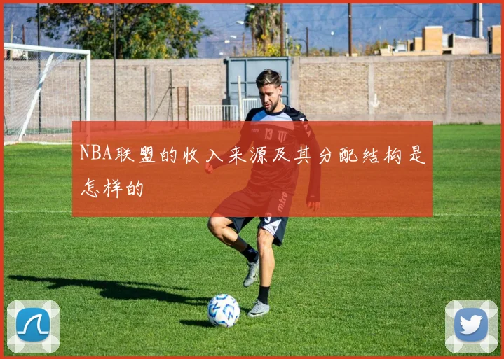 NBA联盟的收入来源及其分配结构是怎样的
